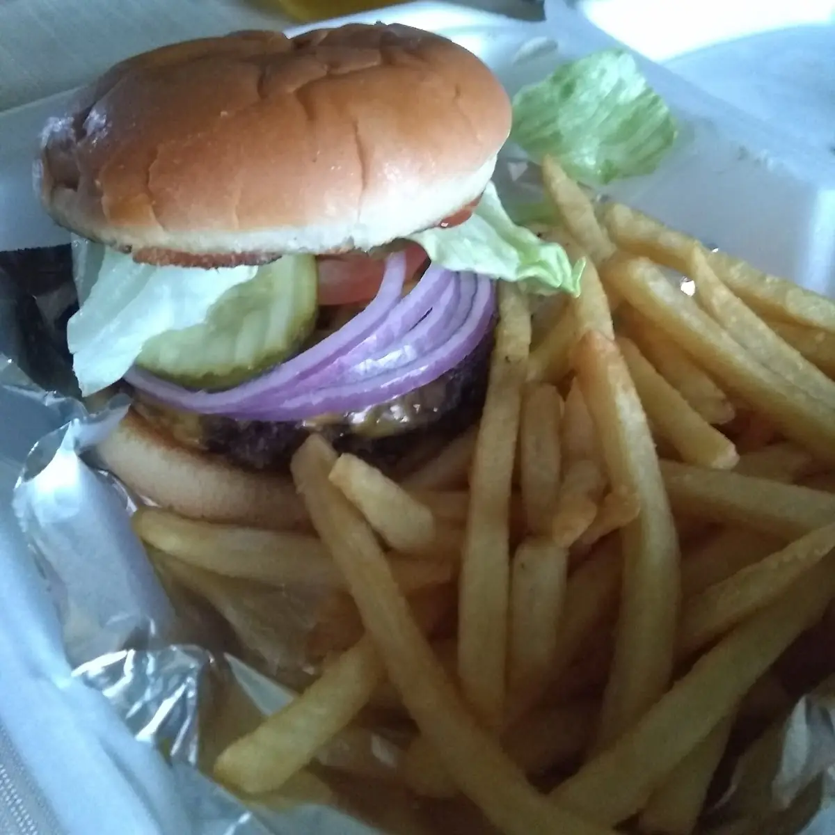 Double Cheeseburger and Fries