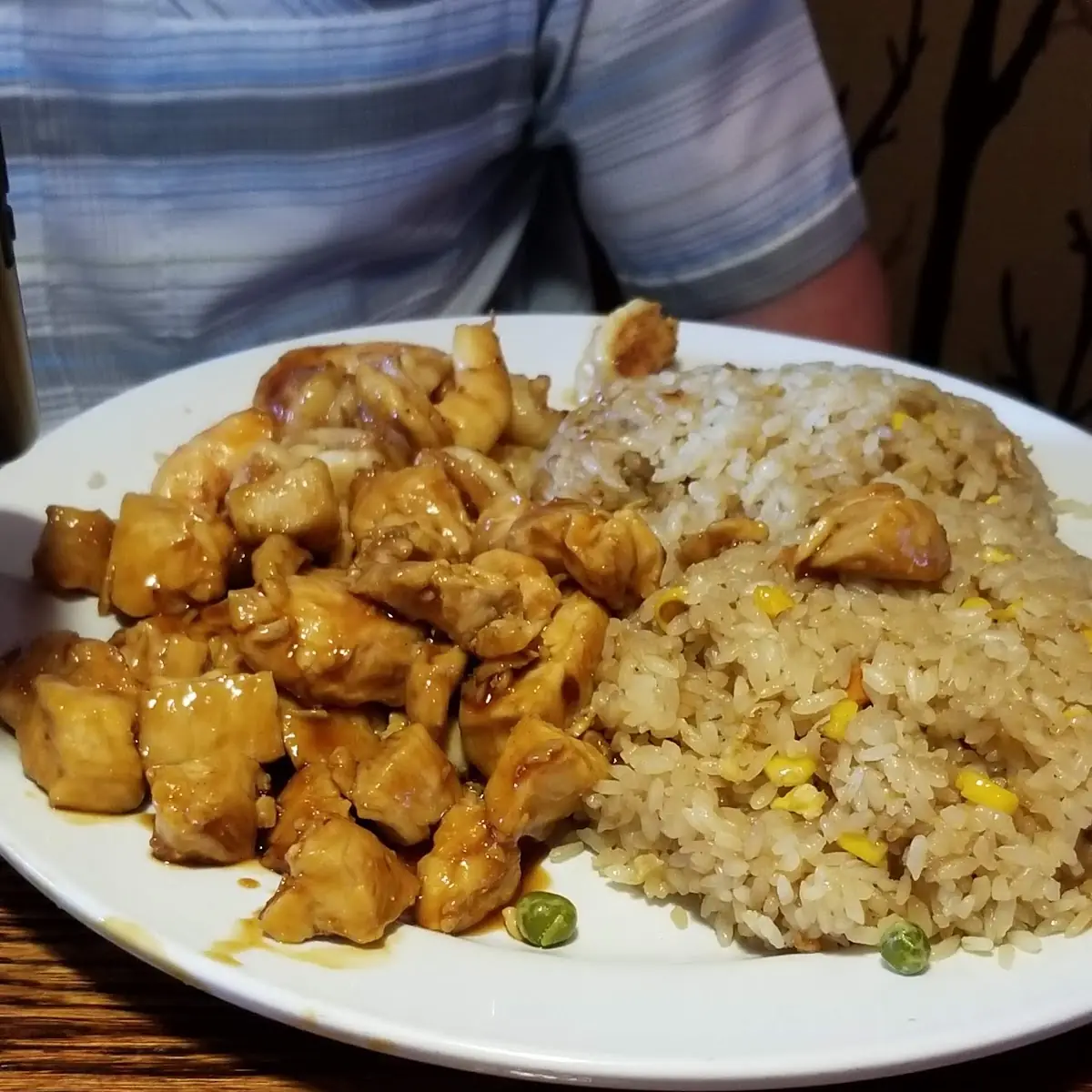 Chicken Teriyaki and Fried Rice