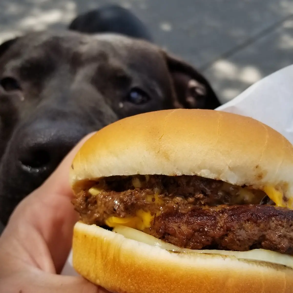 Double Cheeseburger with Onions