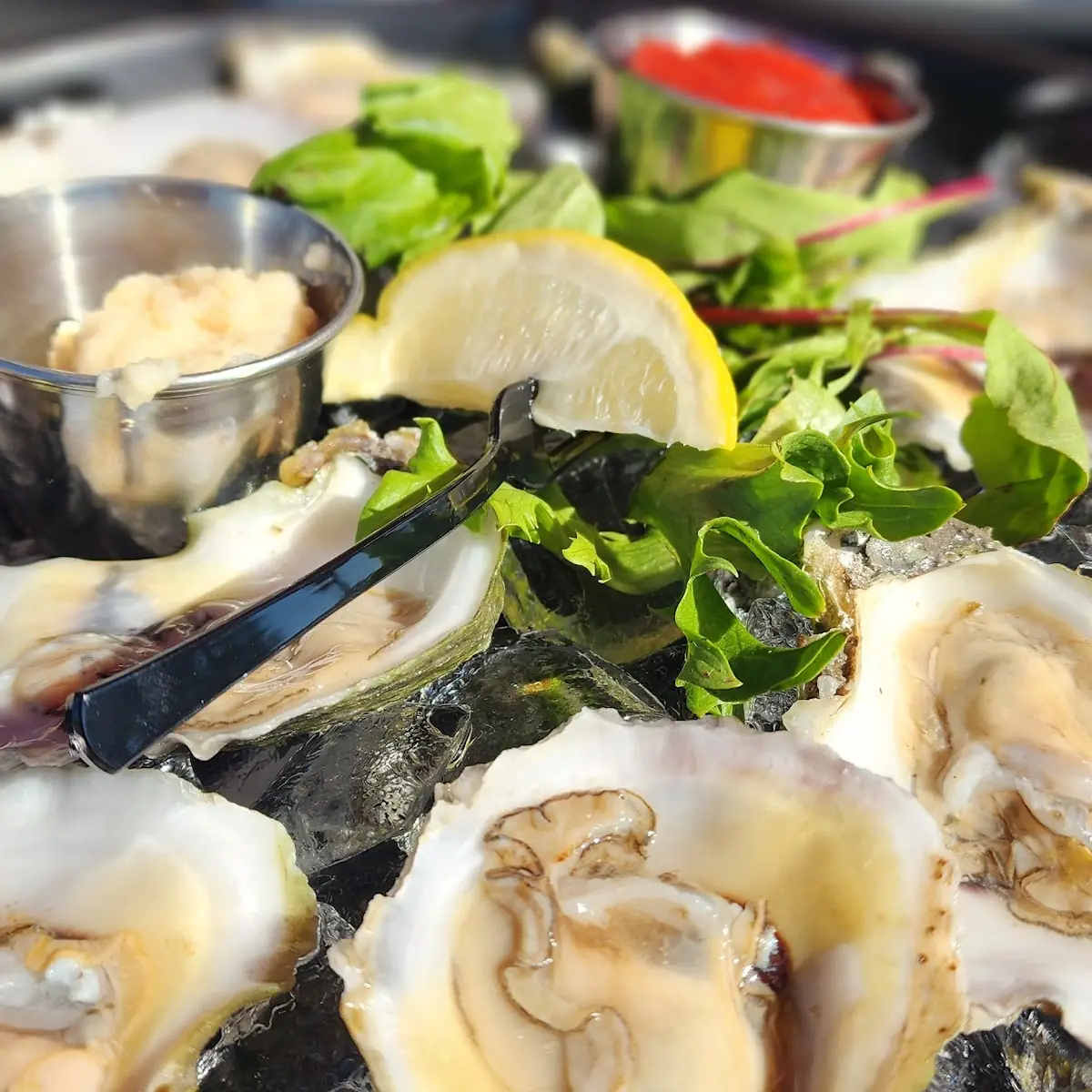 Oysters on the Half Shell