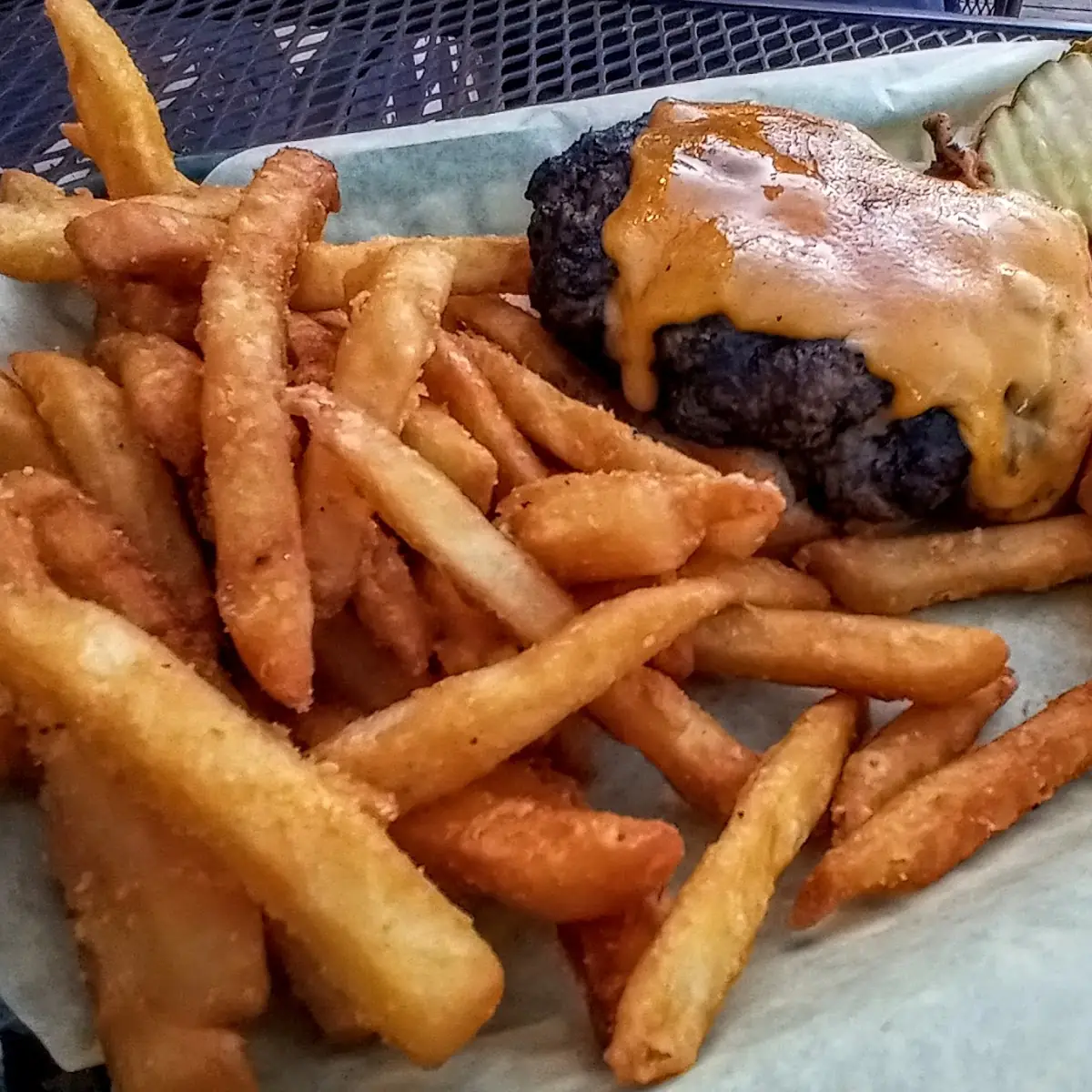 Elk Burger
