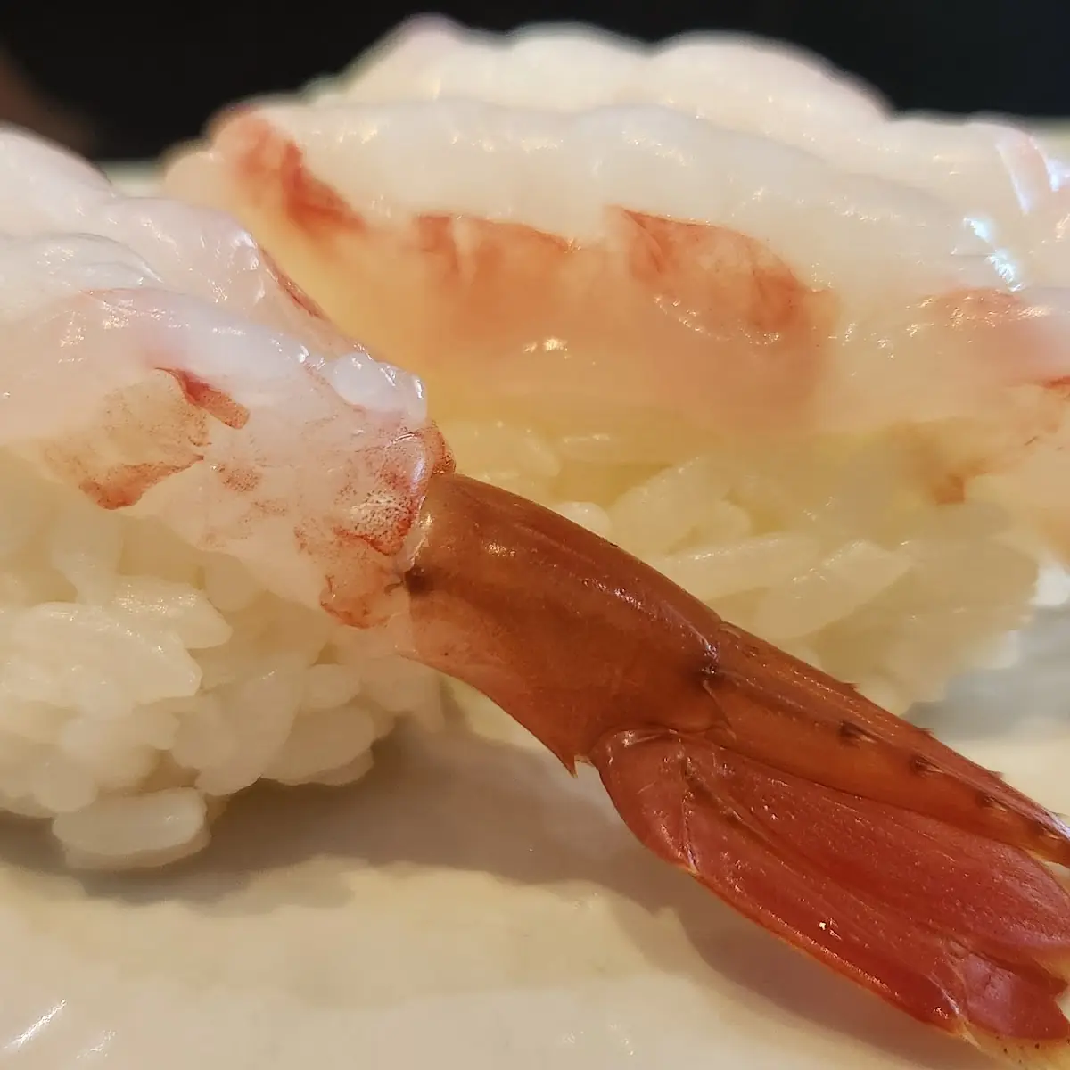 EBI Shrimp