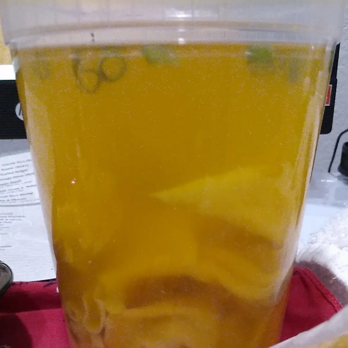 Wonton Soup