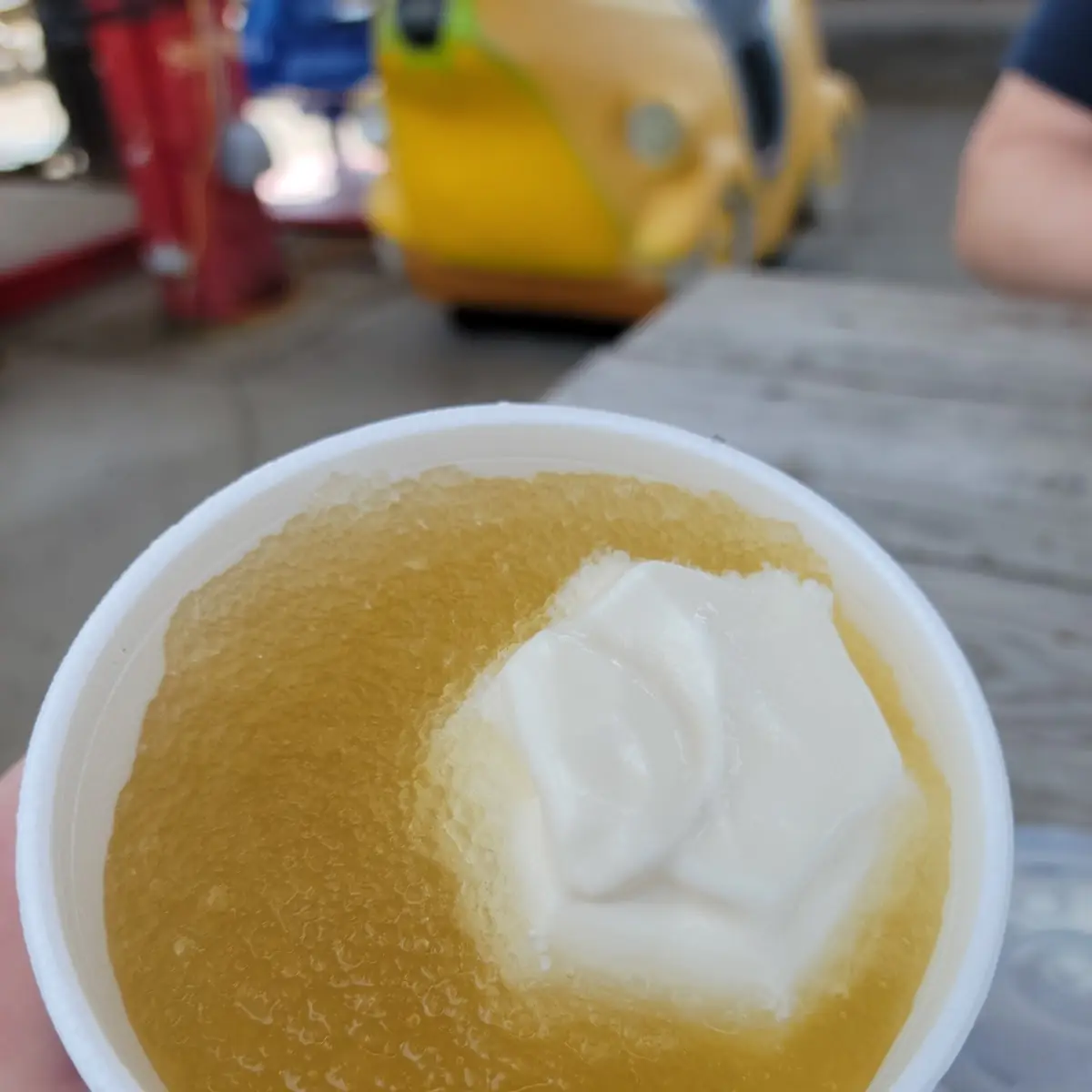 Apple Cider Slush Float
