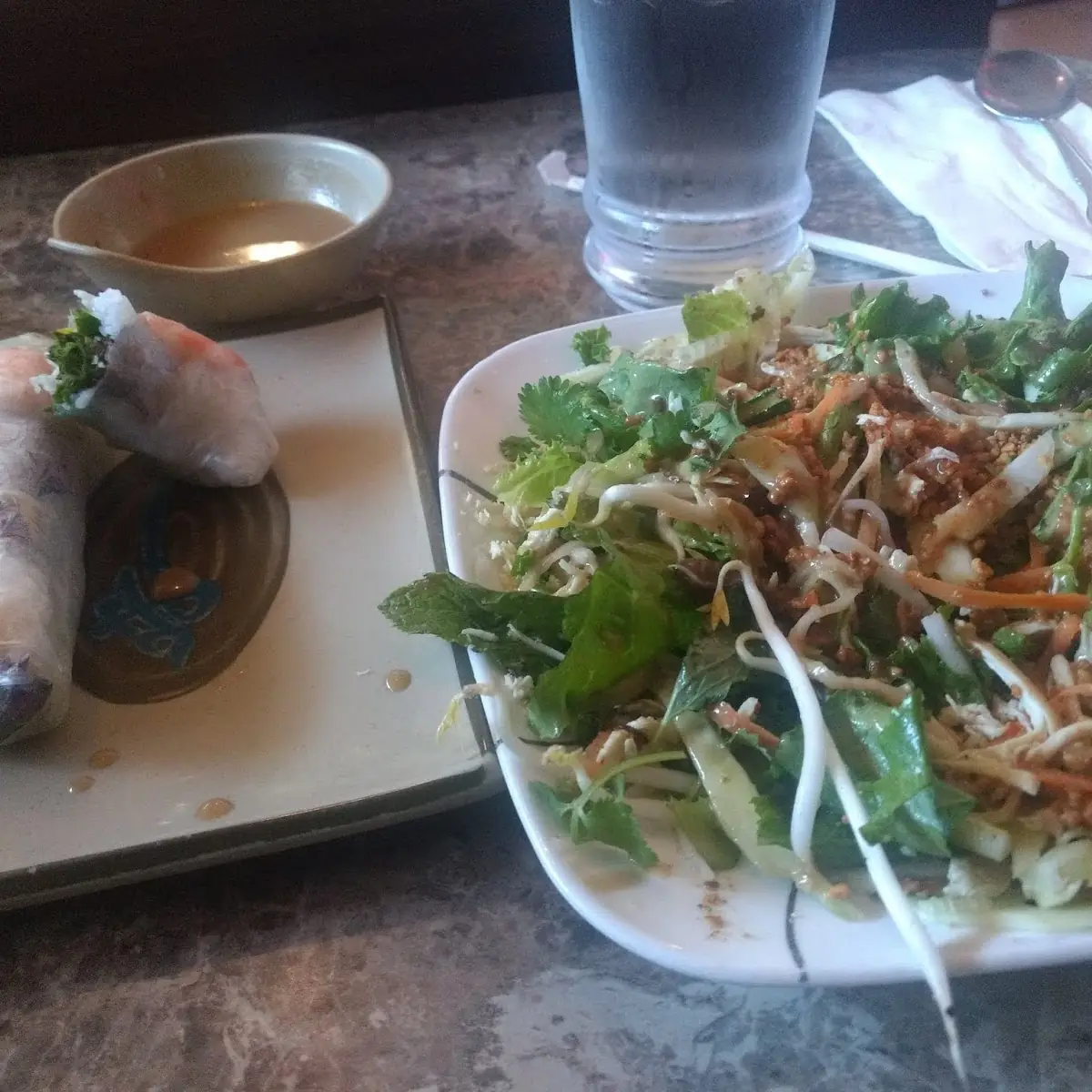 Spring Roll & Chicken Salad