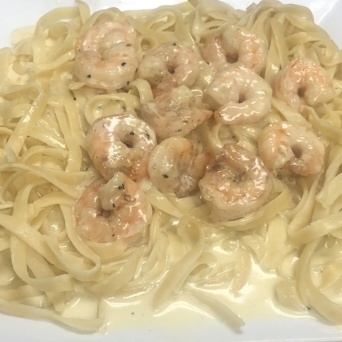 Shrimp Alfredo