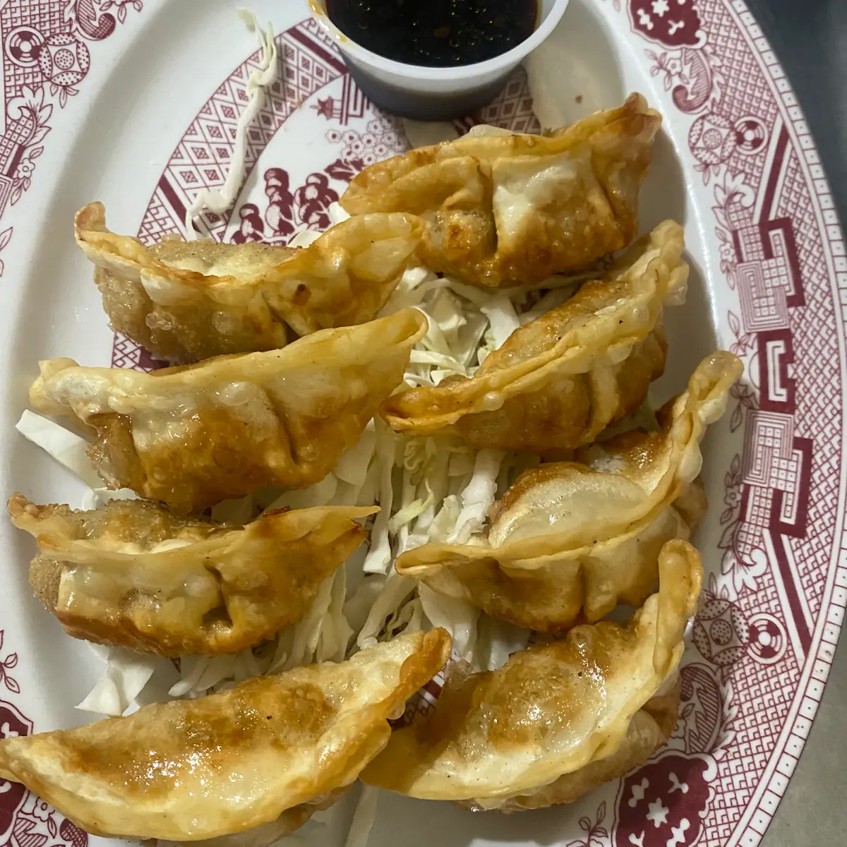 Fried Dumpling (1/2)