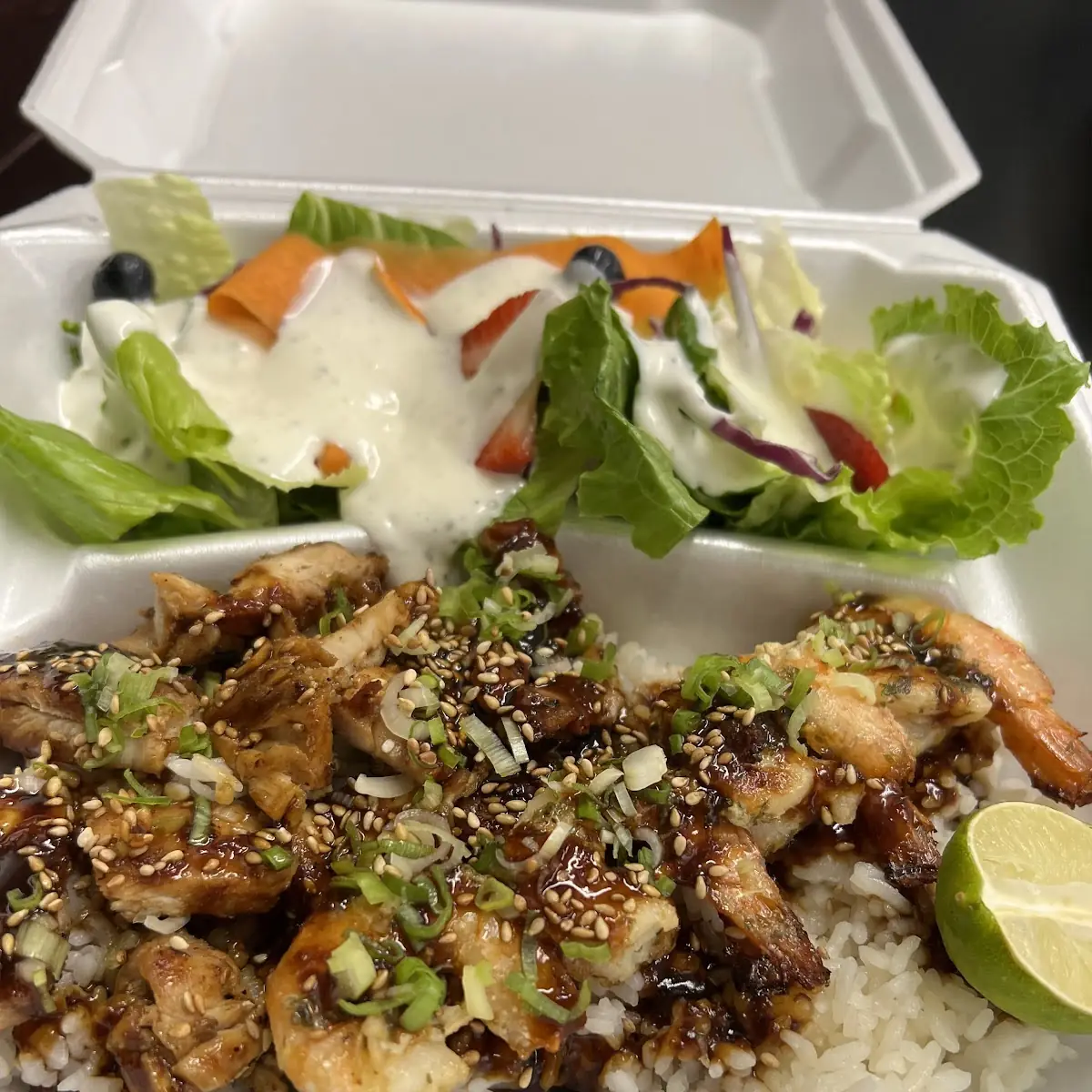 Teriyaki Chicken & Beef Plate