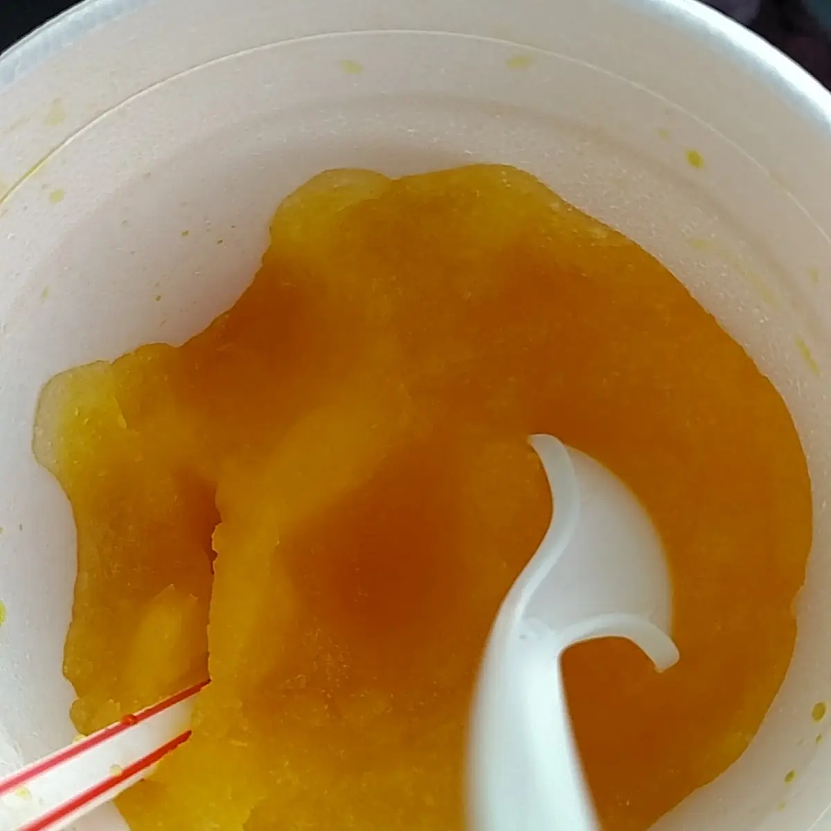 Mango Pudding