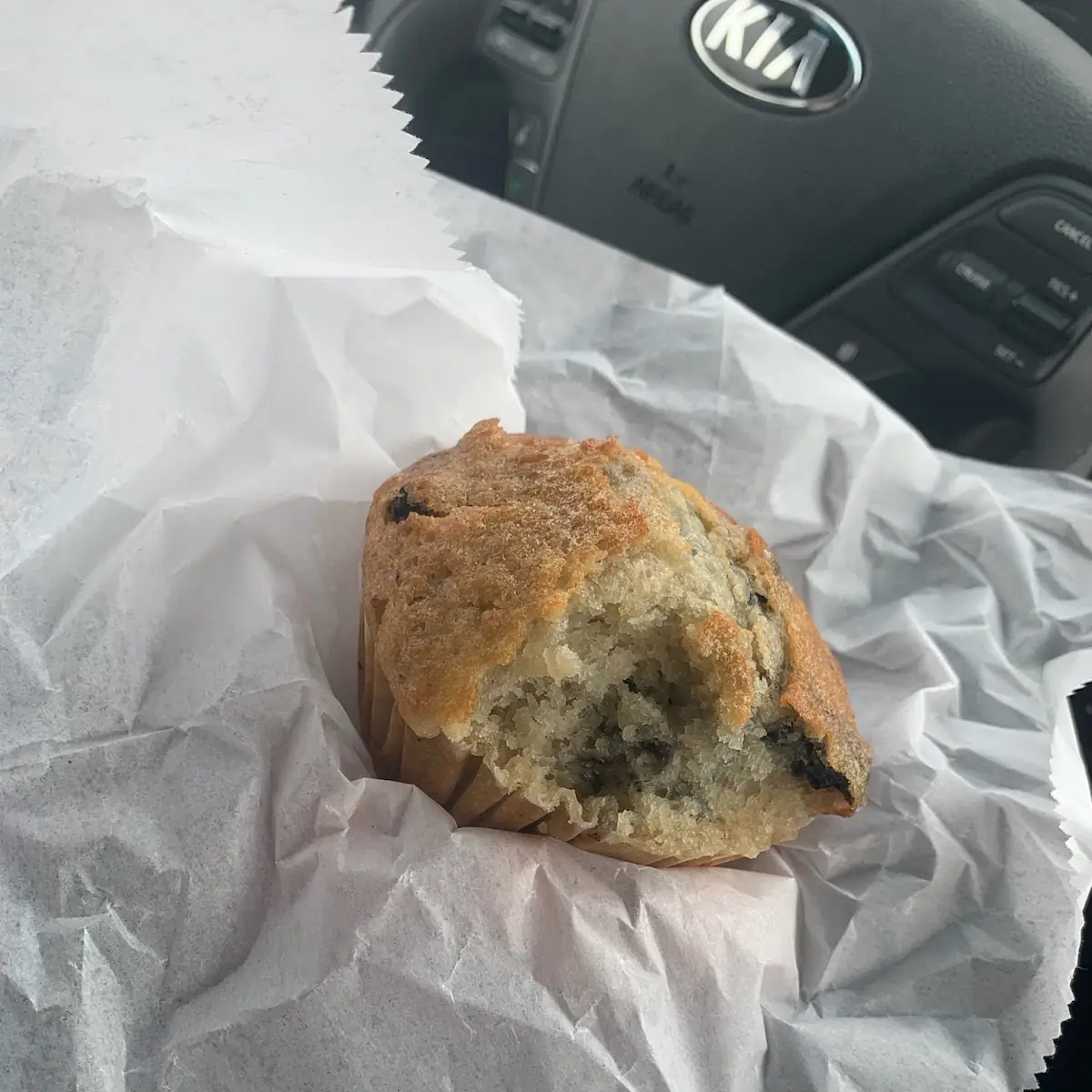 Blueberry Muffin