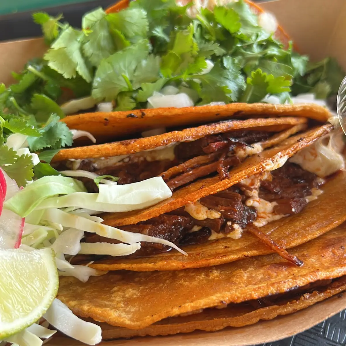 Birria Torta