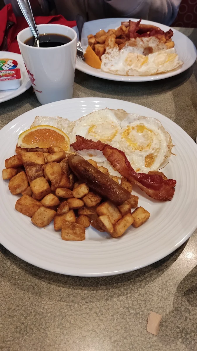 Breakfast Specials, Aaltos Garden City
