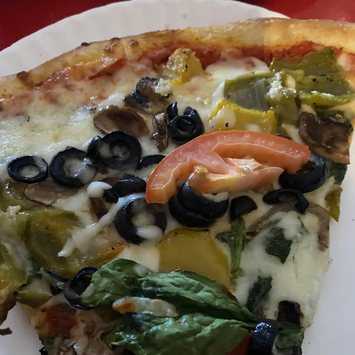 Vegetarian Pizza Slice