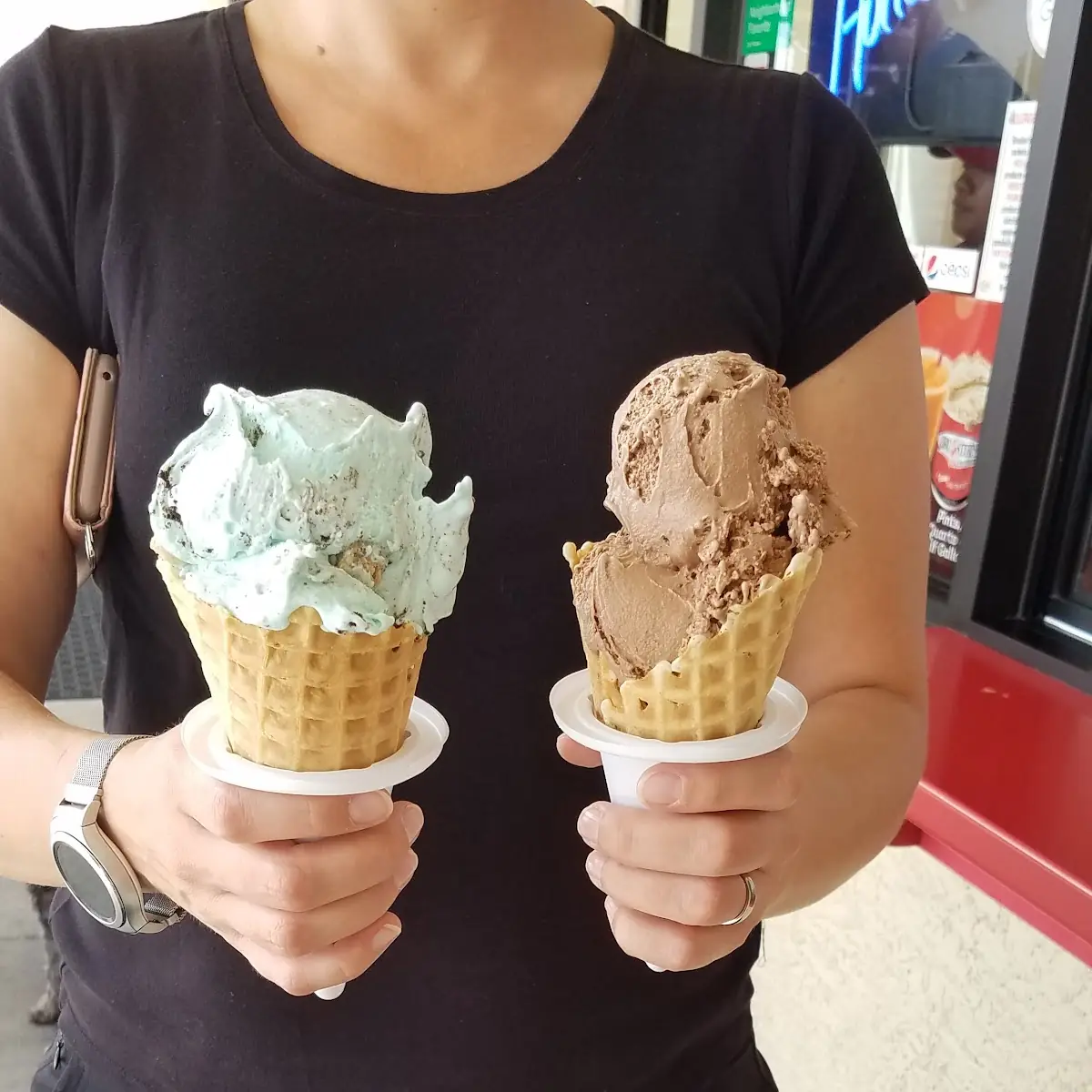 Mint and Chocolate Ice Cream