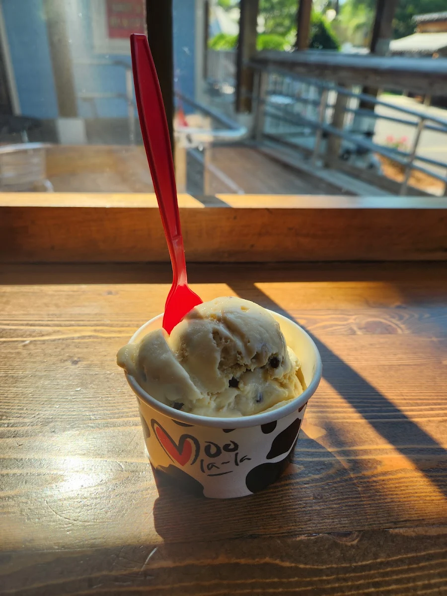 Chocolate Chip Cookie Dough