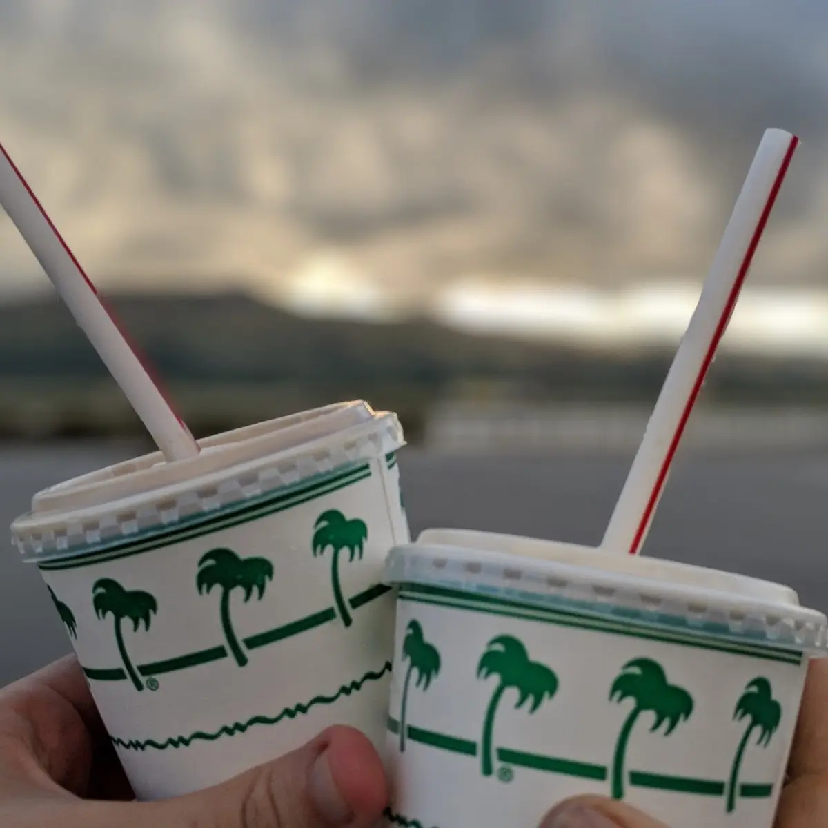 Milk Shakes