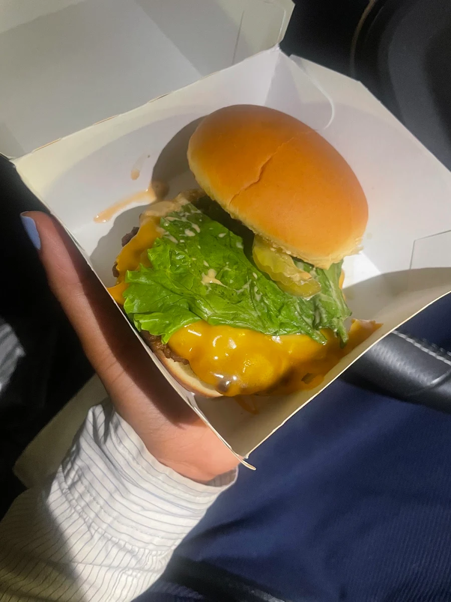 Cheese Veggie Burger