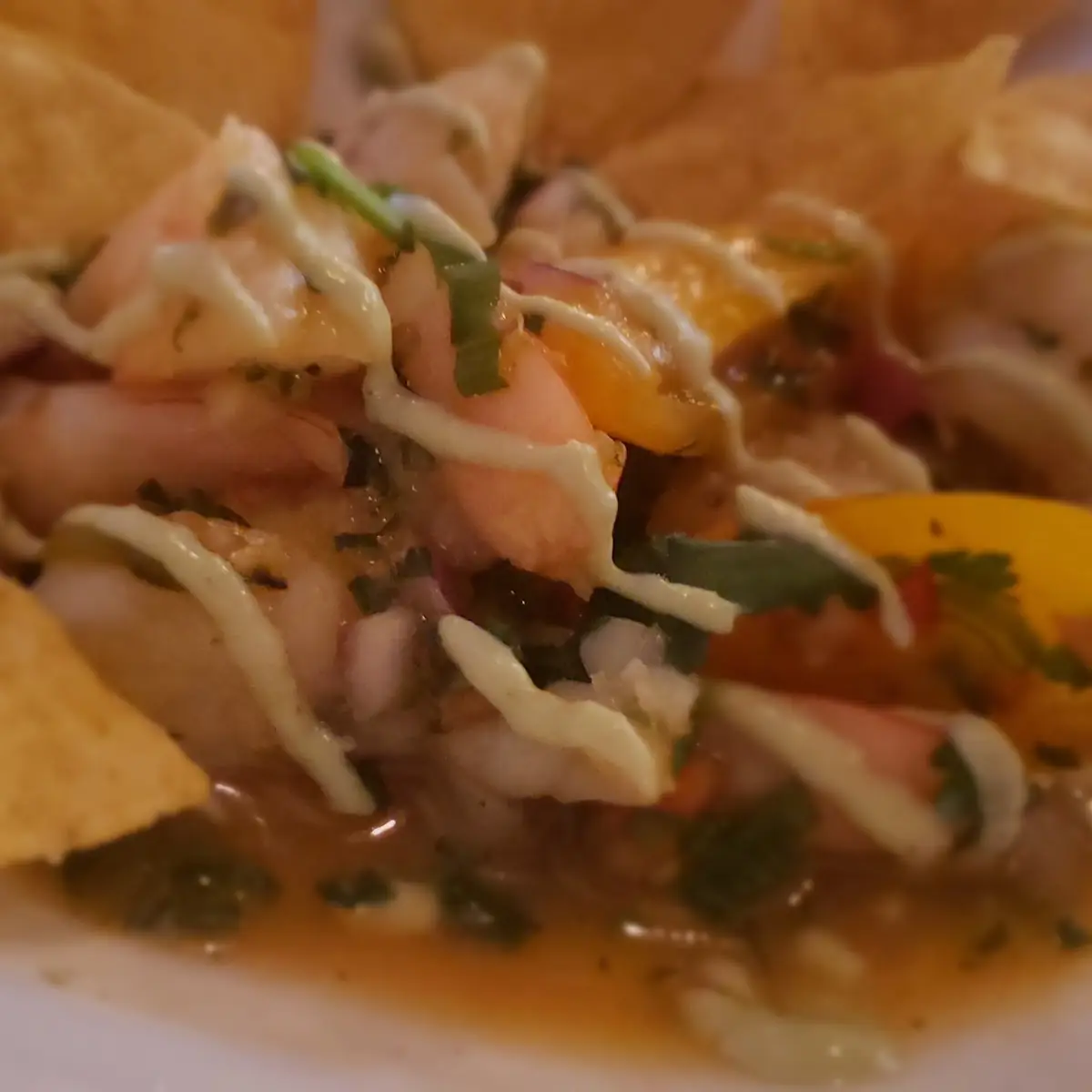 Ceviche
