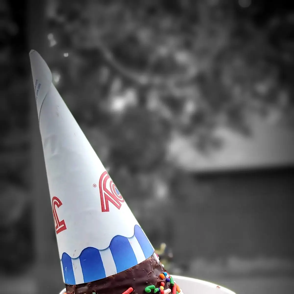 Chocolate Sprinkle Cone with Ice Cream