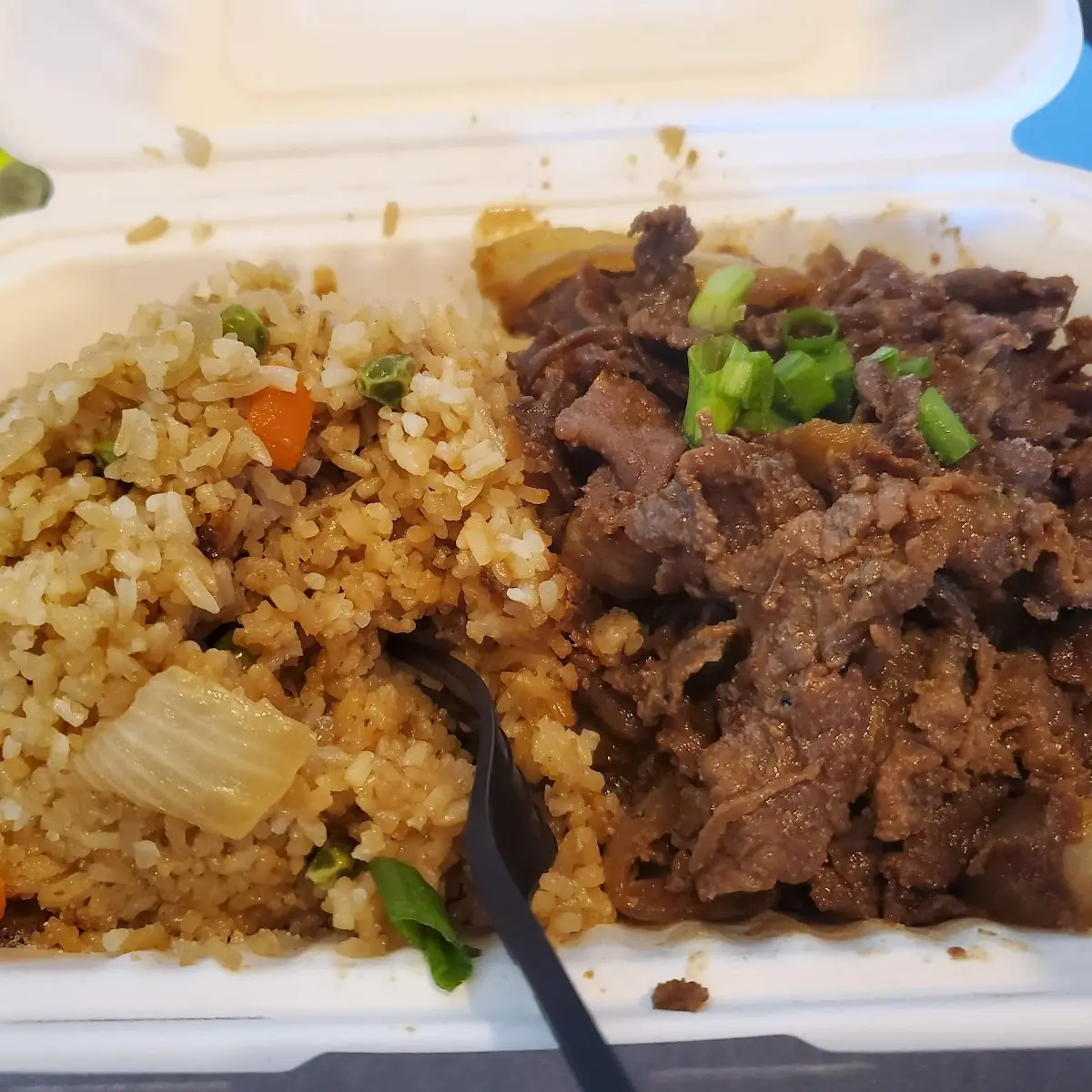 Beef Bulgogi and Fried Rice