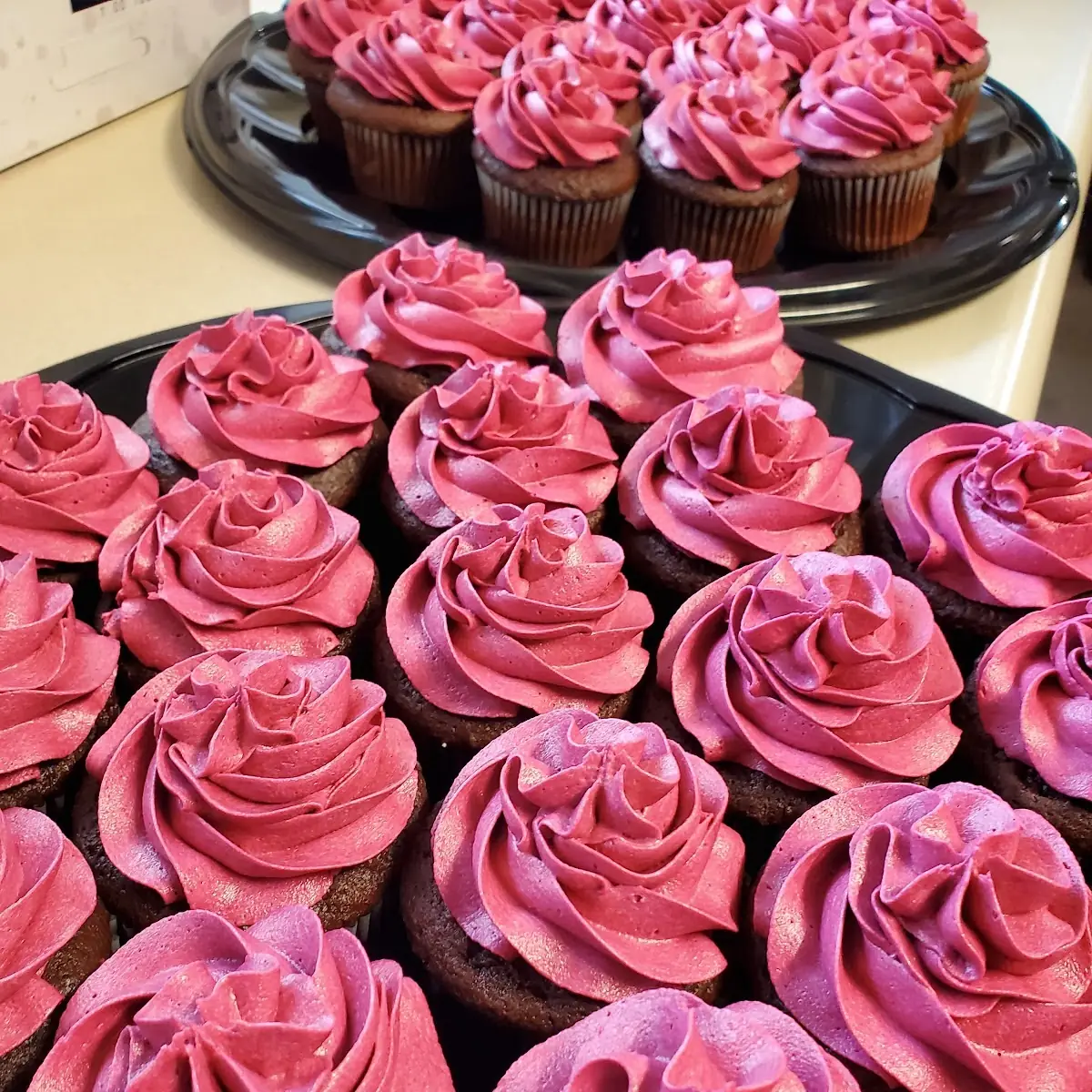 Chocolate Cupcake