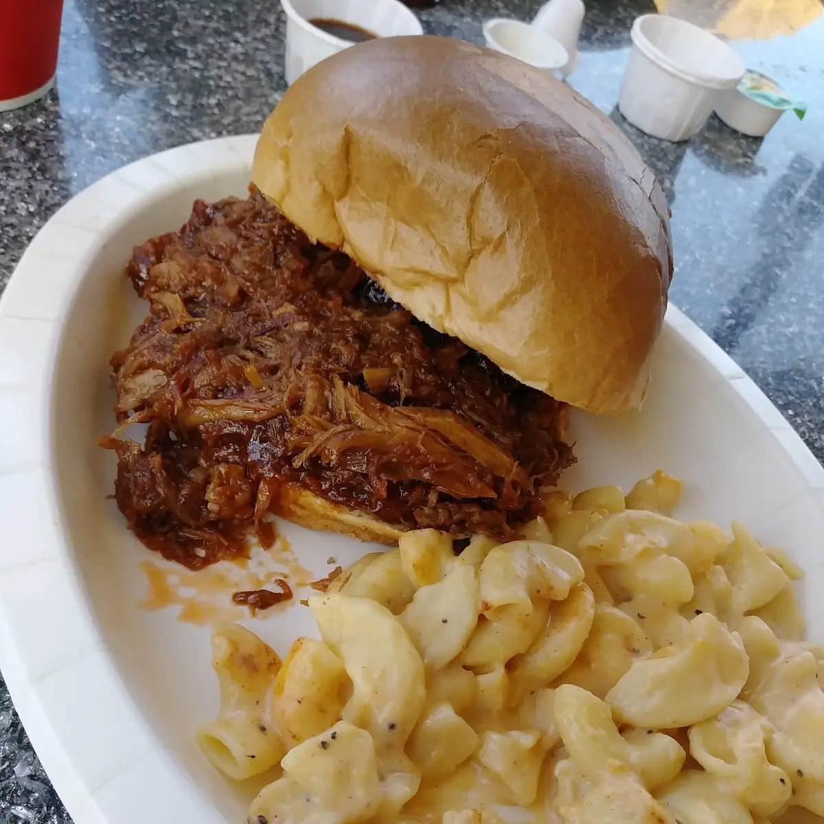 Blueberry Pulled Pork Sandwich