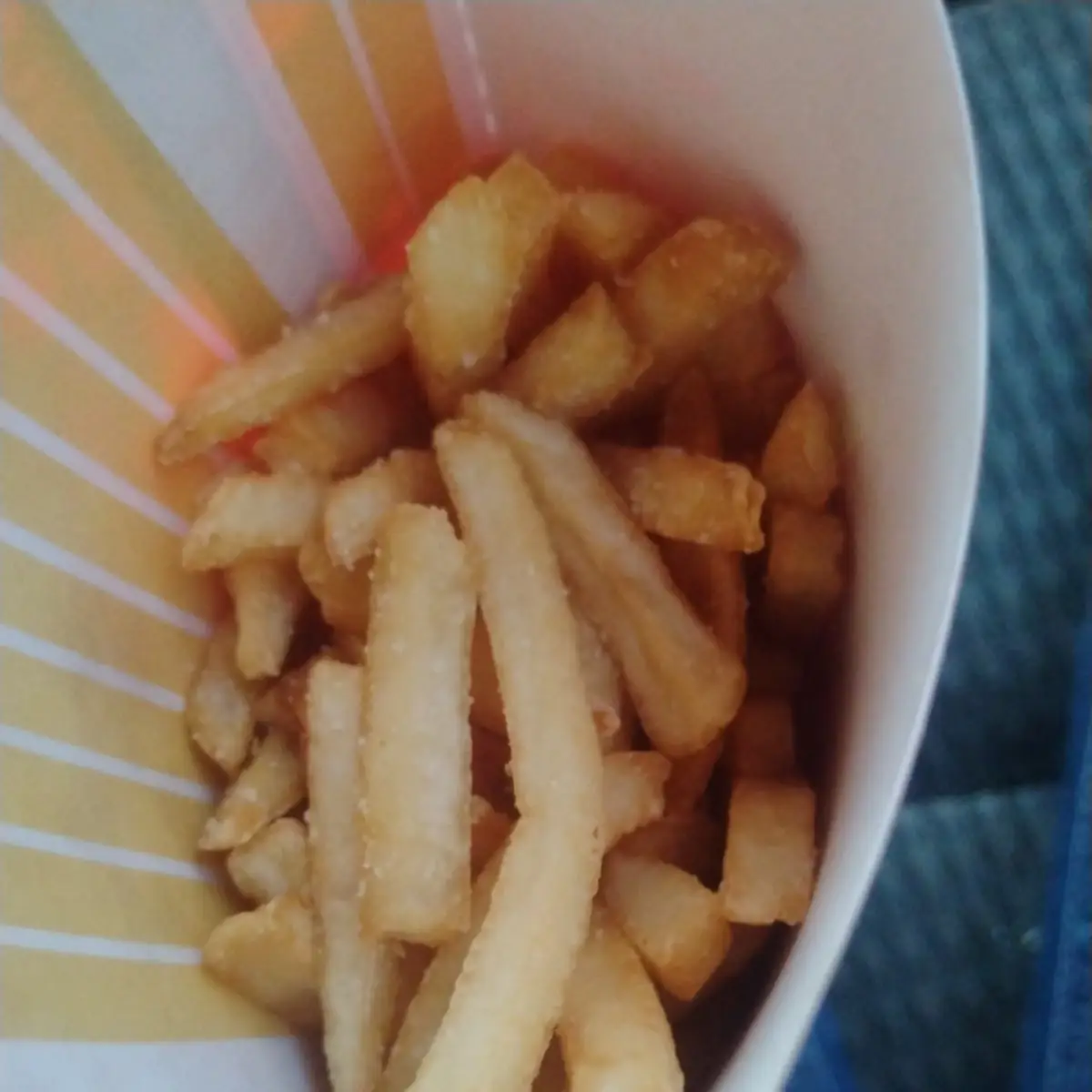 World Famous Fries
