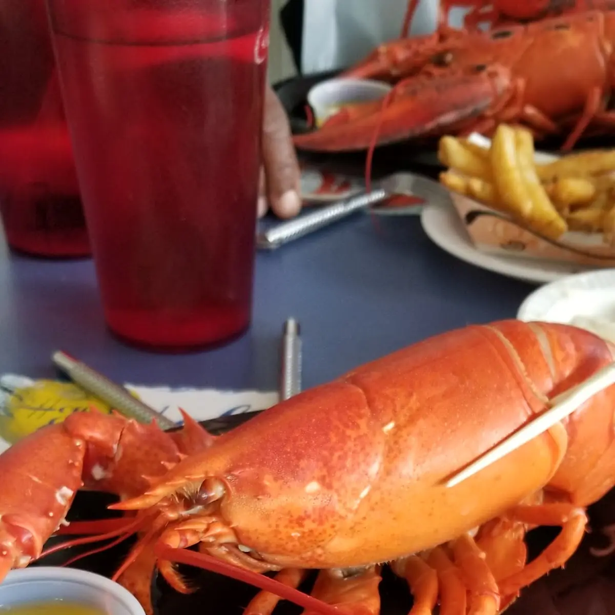 Soft Shell Lobster Dinner