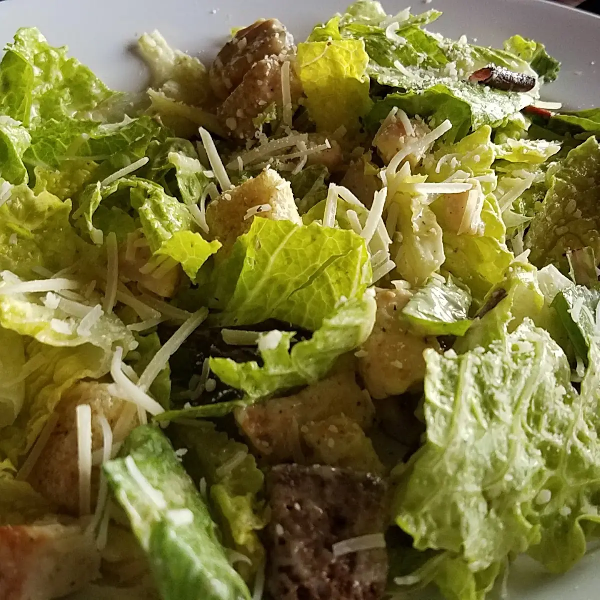 Chicken Caesar Salad