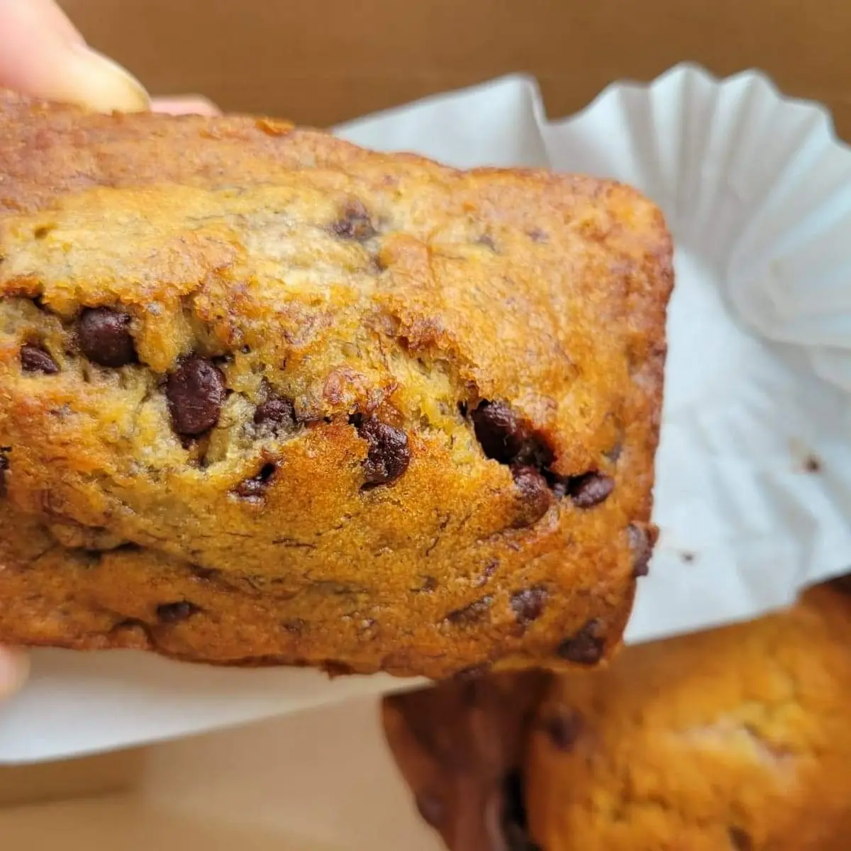 Chocolate Chip Banana Bread
