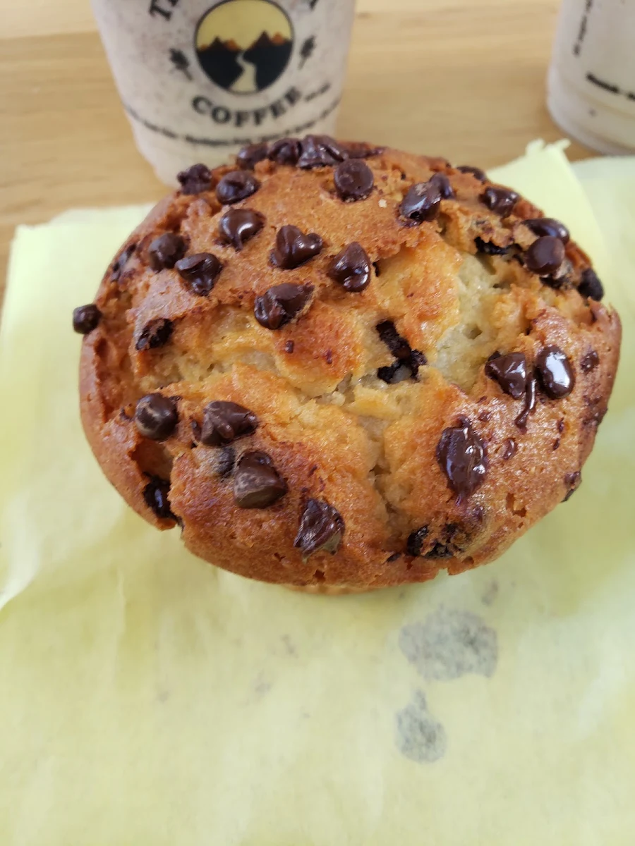 Chocolate Chip Muffin