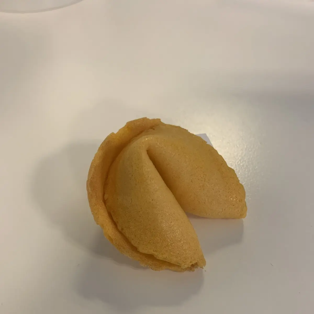 Fortune Cookie