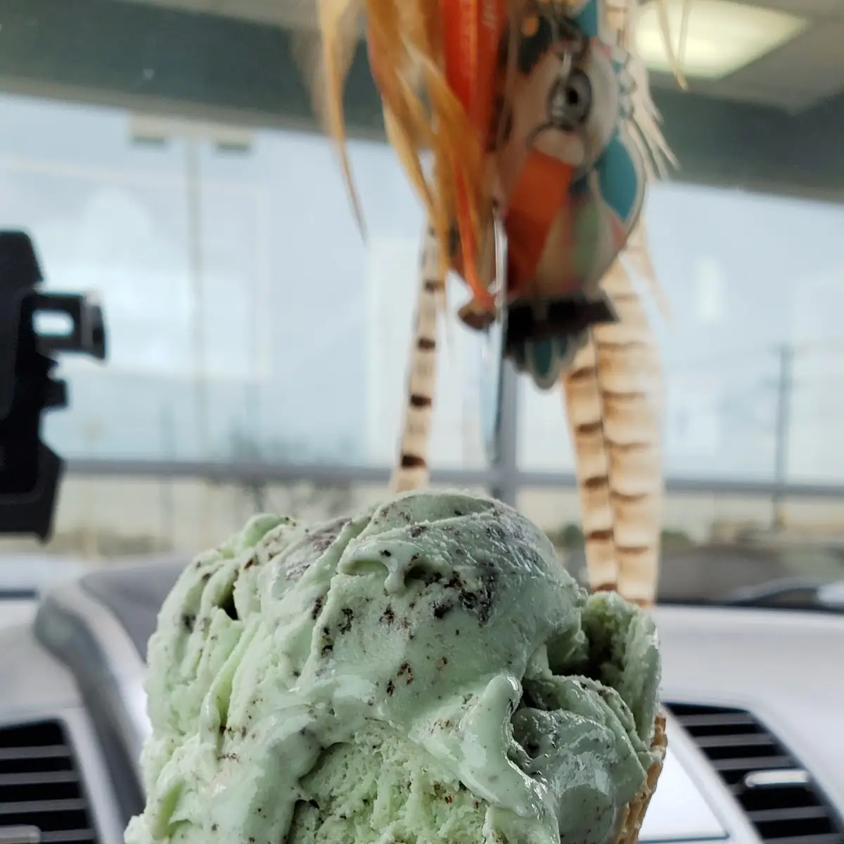 Chocolate Chip Mint on a Waffle Cone