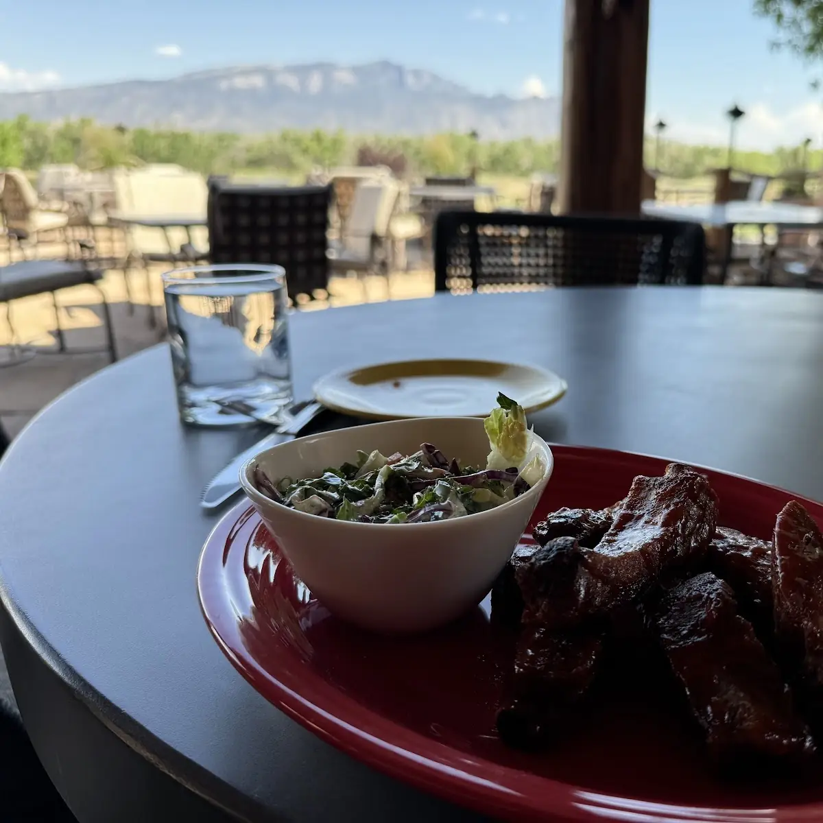 Pork Ribs