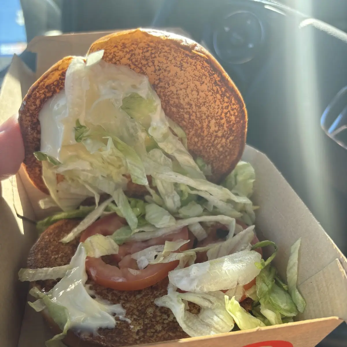 Chicken Sandwich Combo