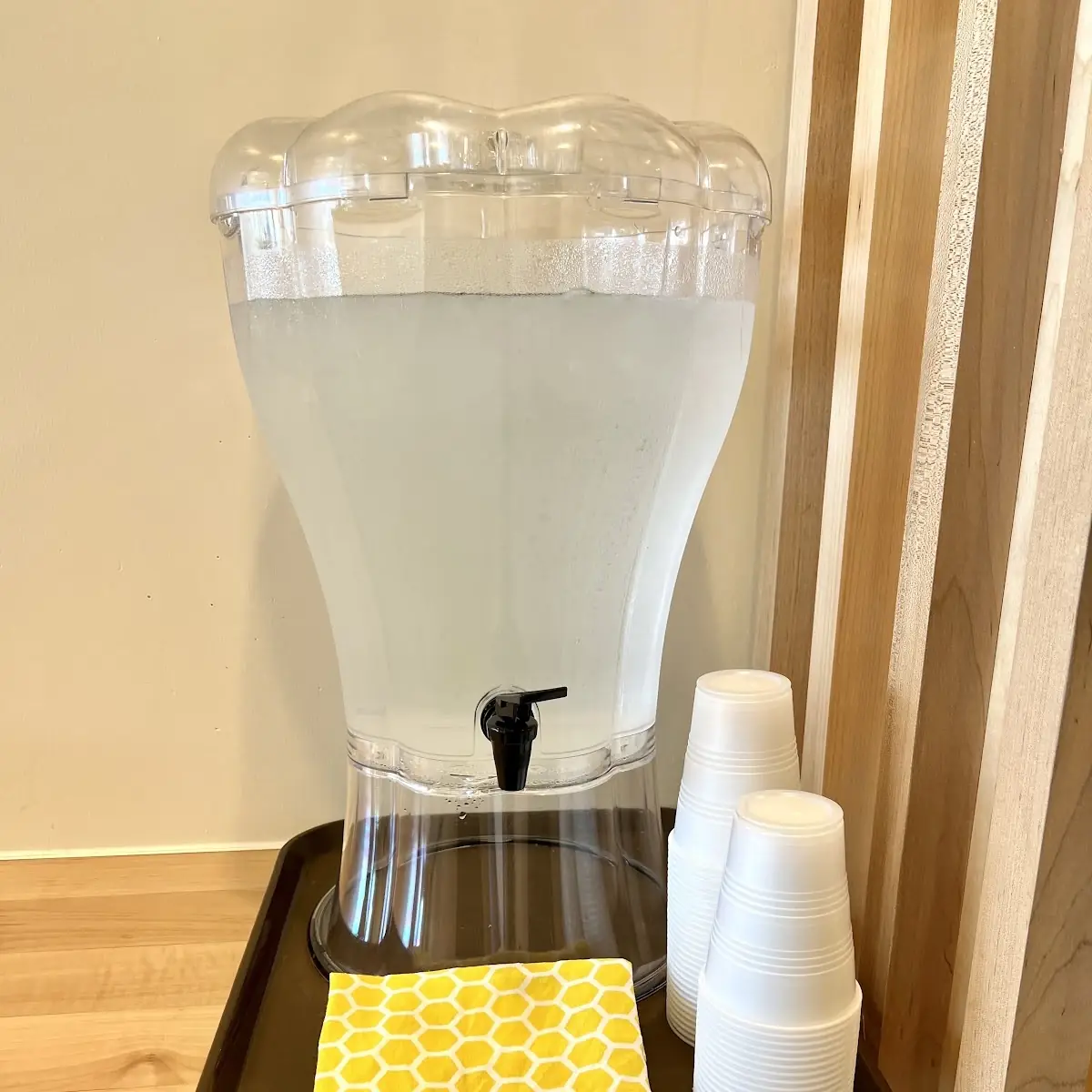 Water Dispenser