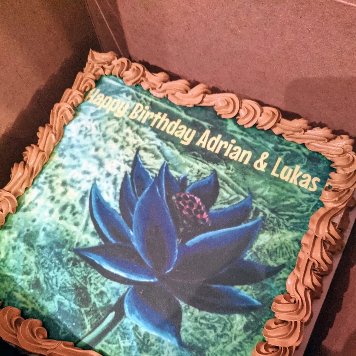 Birthday Cake