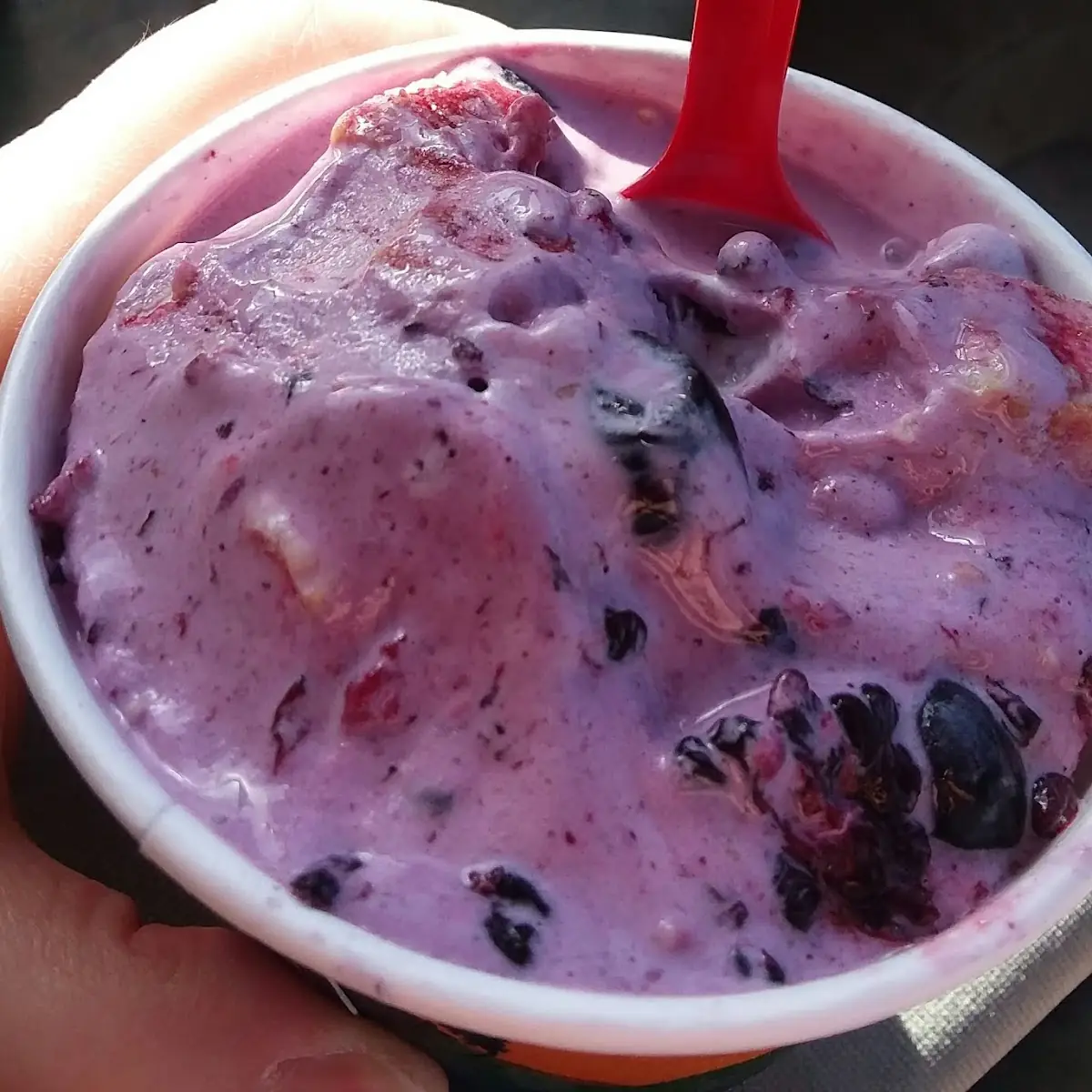 Summer Berry Cheesecake Blizzard