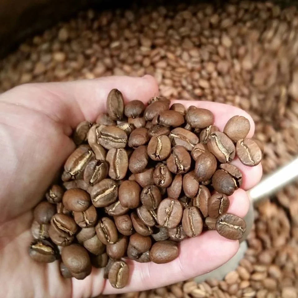 Medium Roast