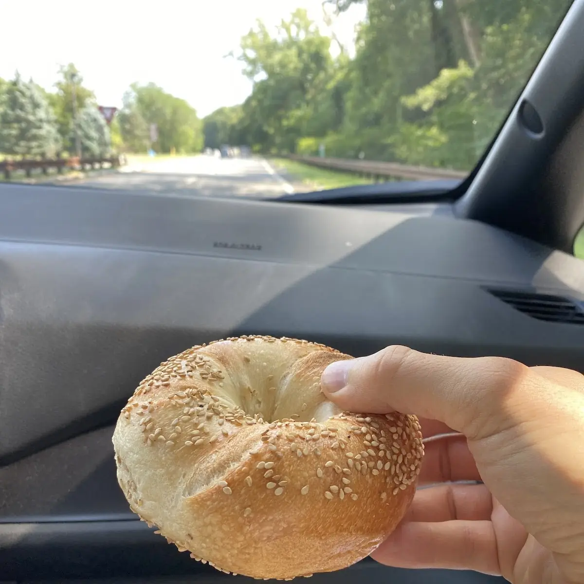 Sesame Bagel