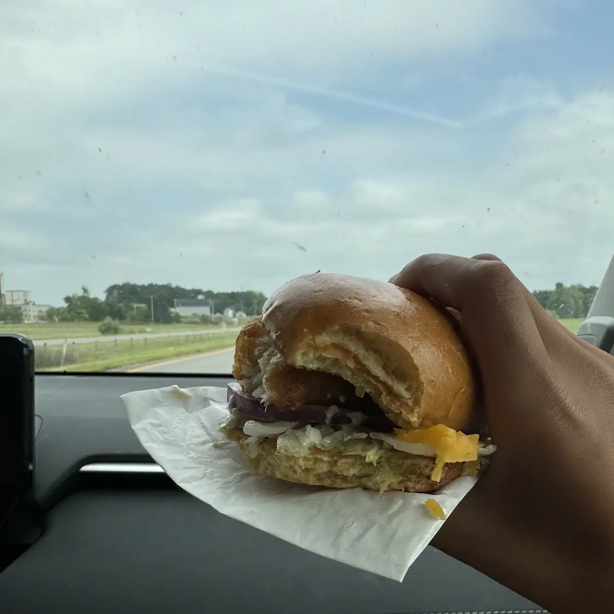 Fish Burger