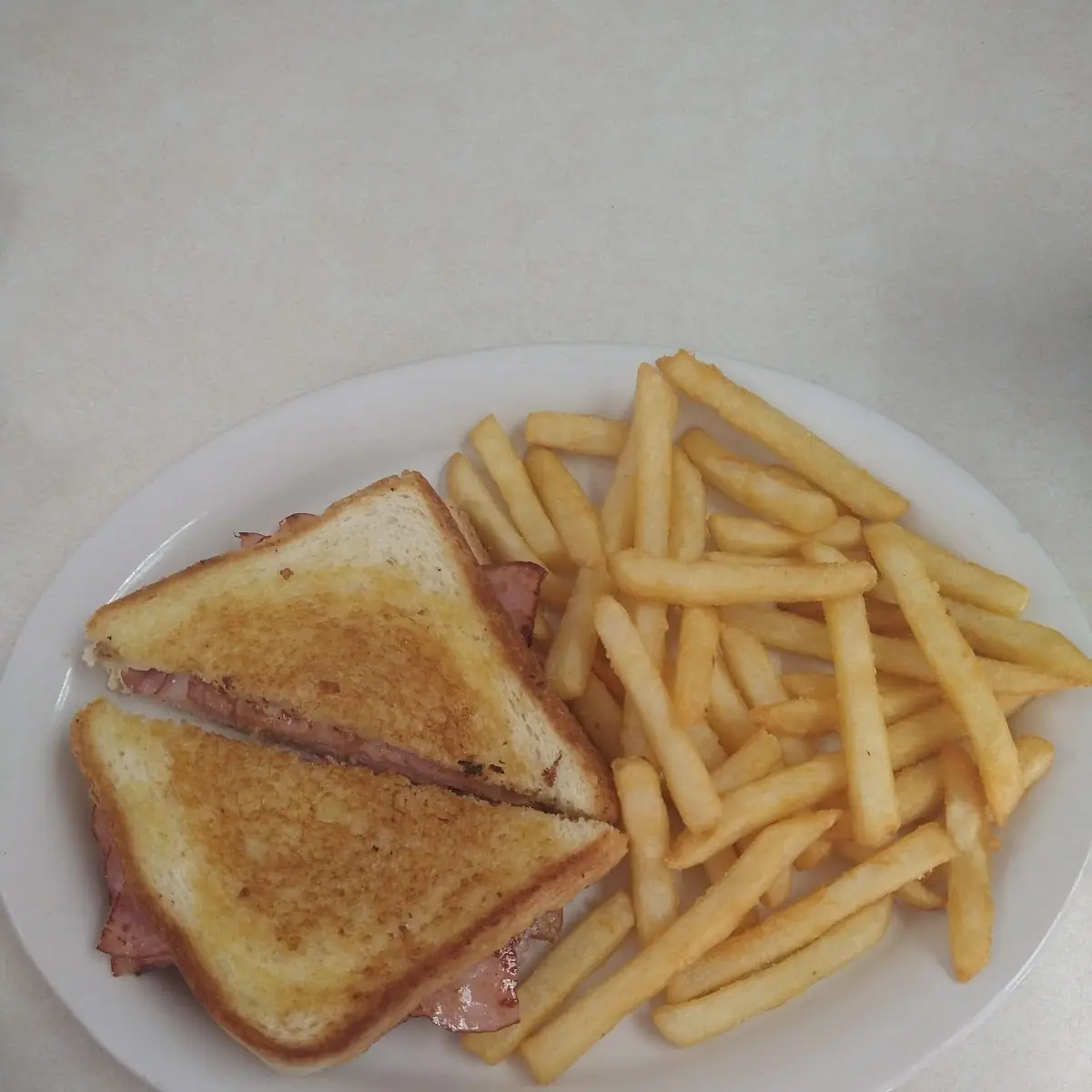 Grilled Ham and Cheese Sandwich with Fries