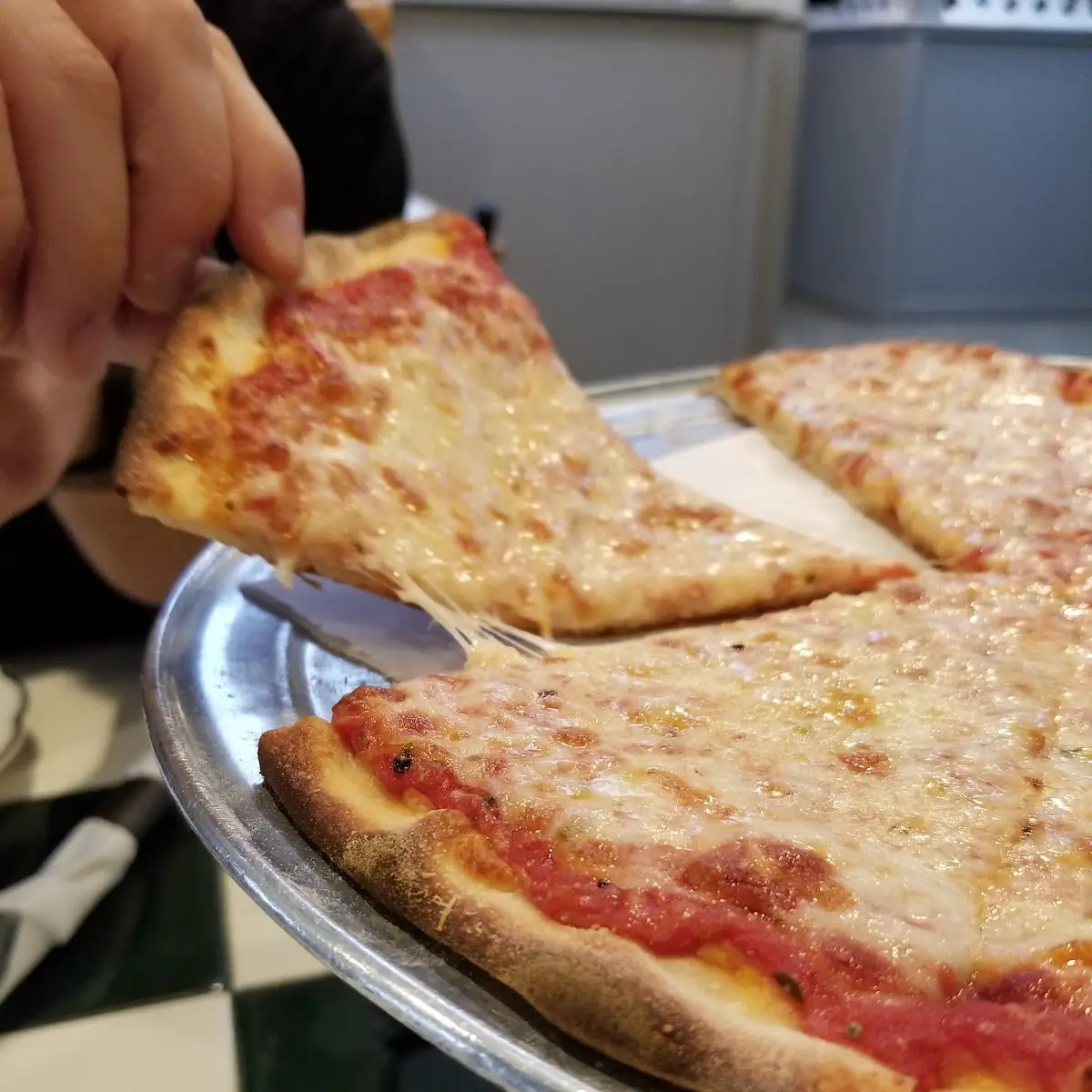 Plain Cheese Pizza