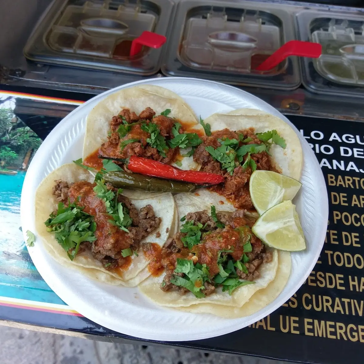 Carne Asada and Al Pastor Tacos