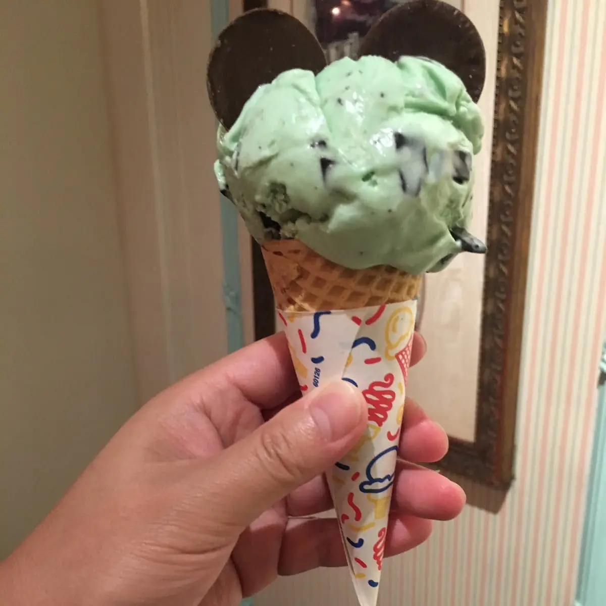 Mint Chocolate Chip