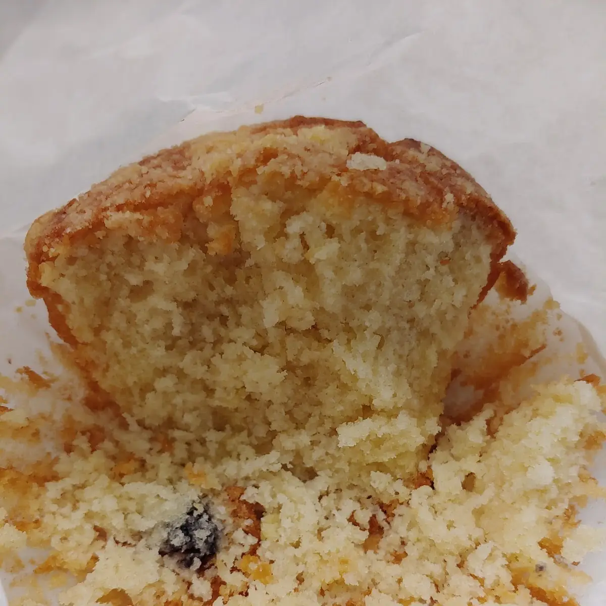 Blueberry Muffin