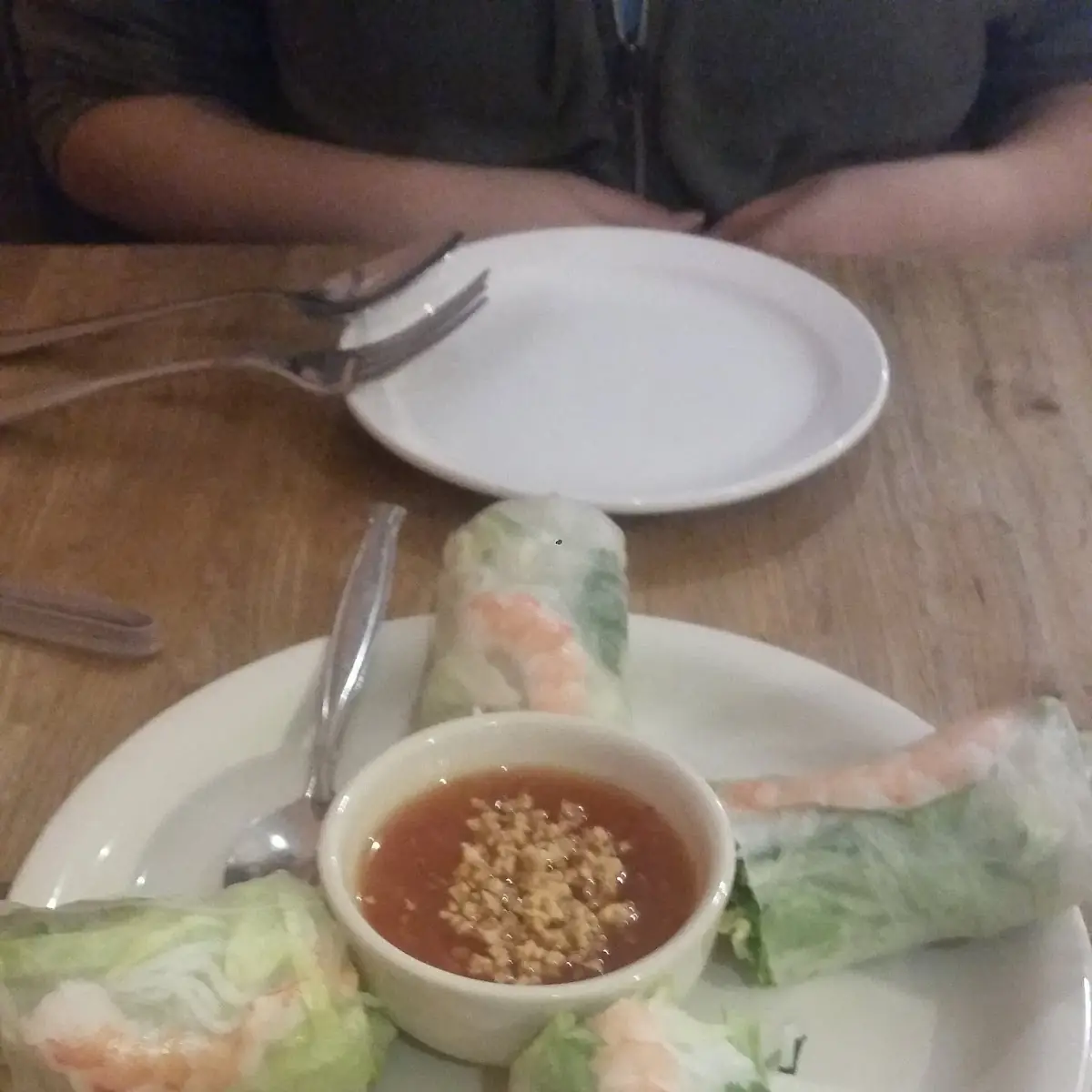 Shrimp Spring Rolls