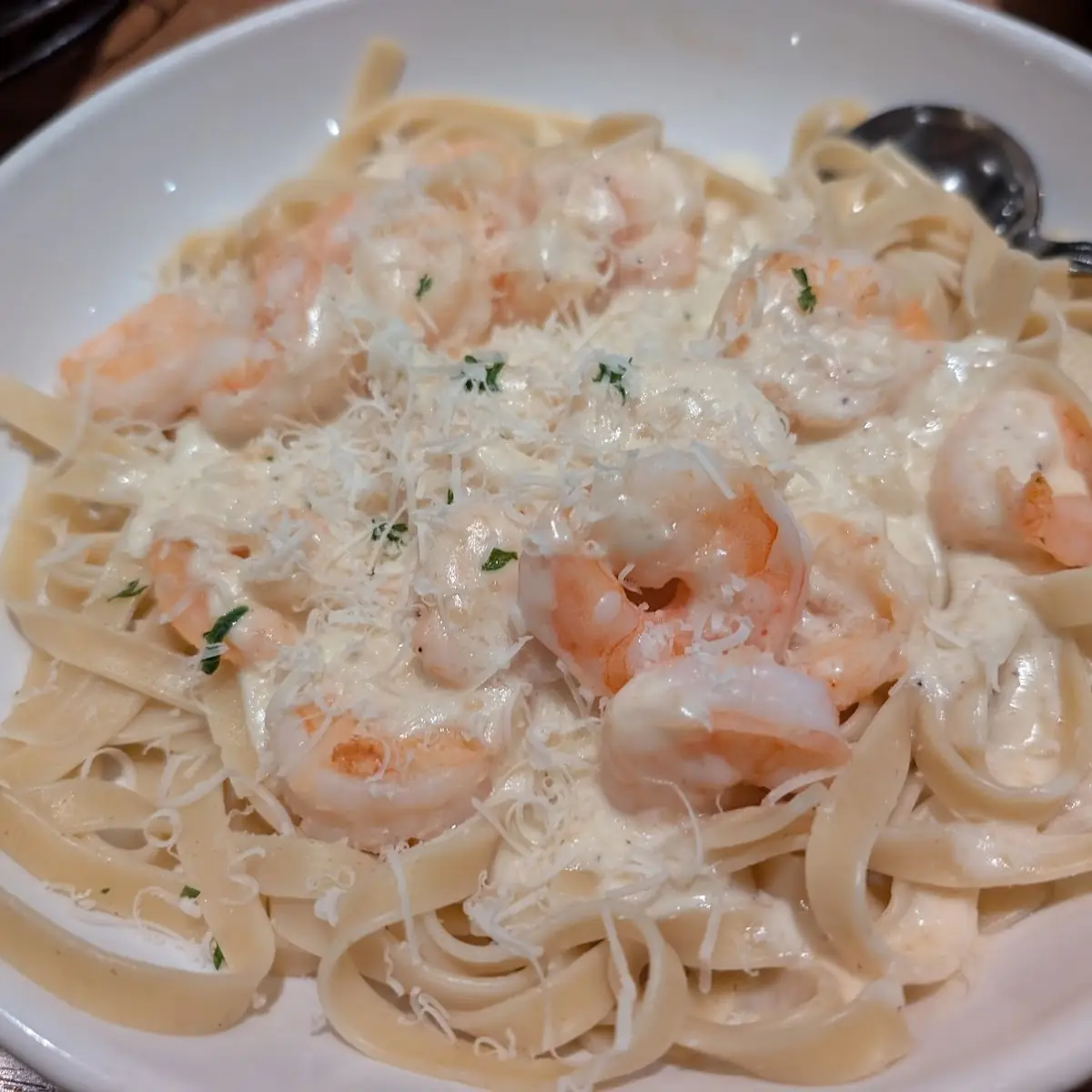 Shrimp Alfredo