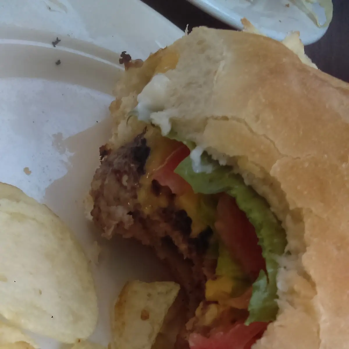 Cheese Burger