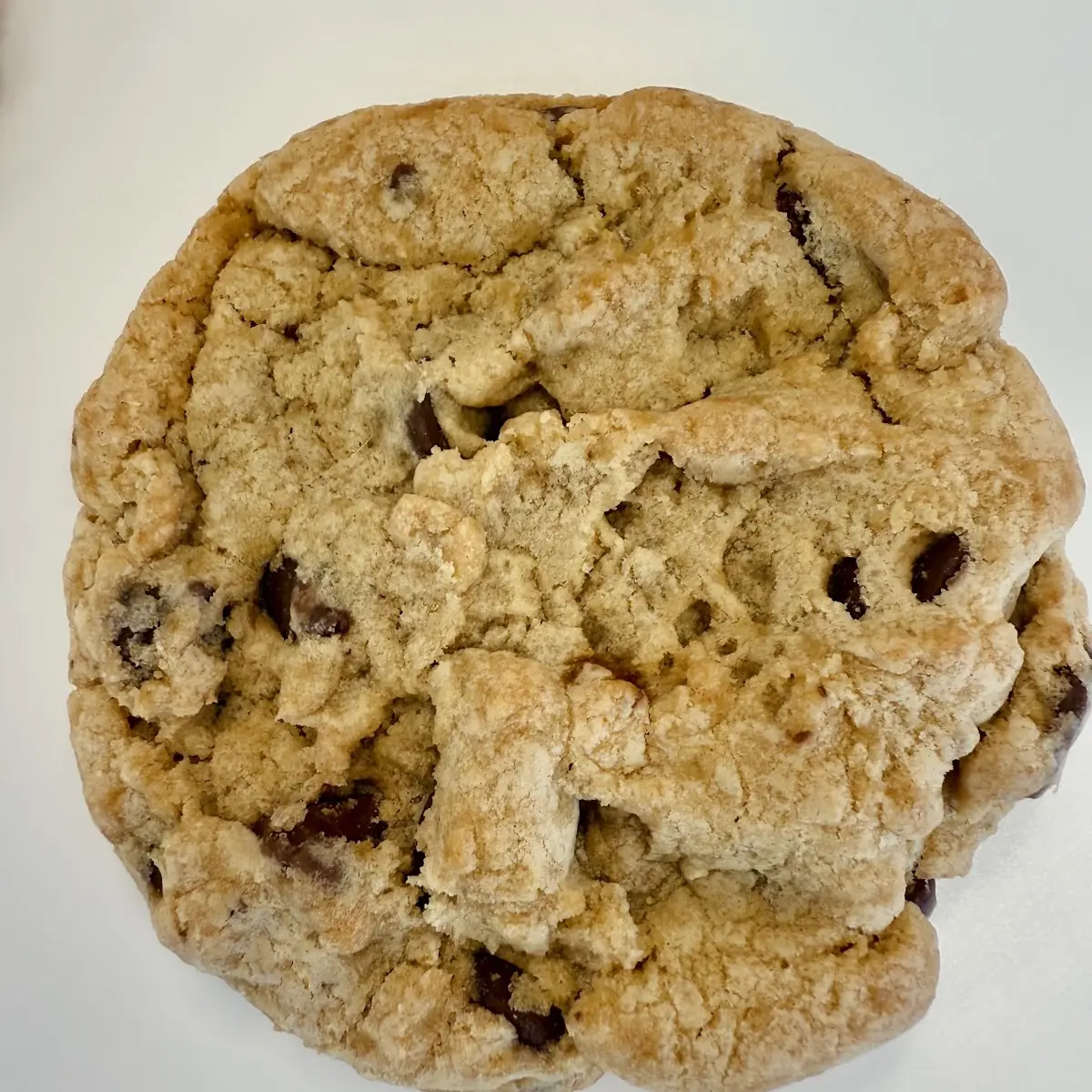 Chocolate Chip Cookie